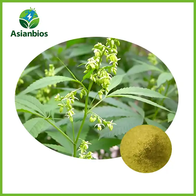 Hemp Seed Extract